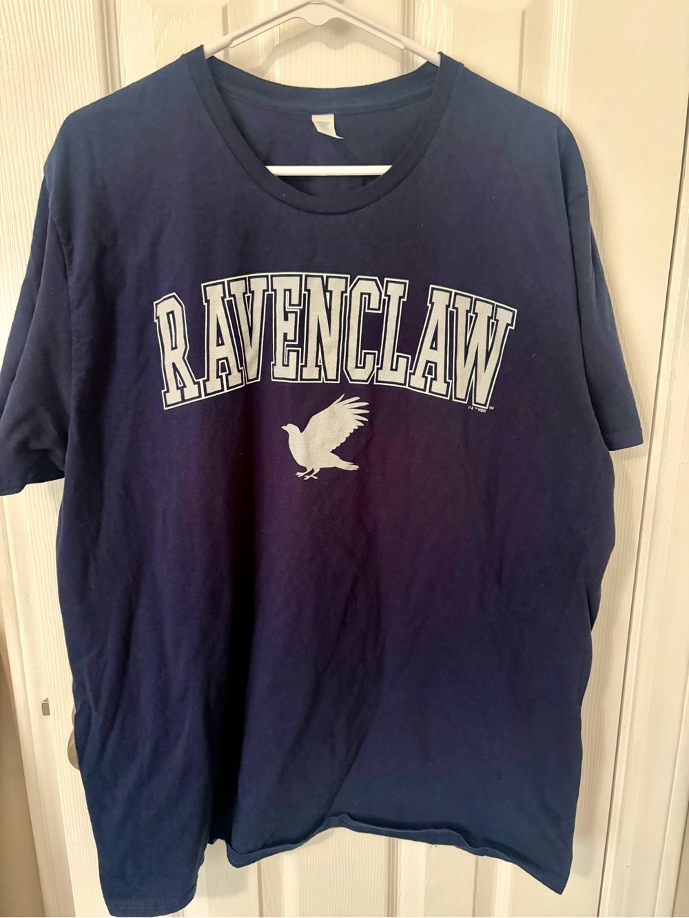 Harry Potter Ravenclaw T-Shirt